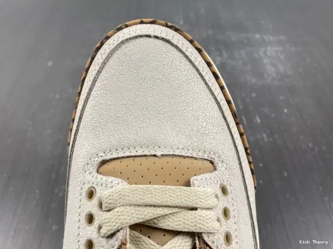 Kick Theory 3 Air CT8532-102 Palomino Jordan 0614